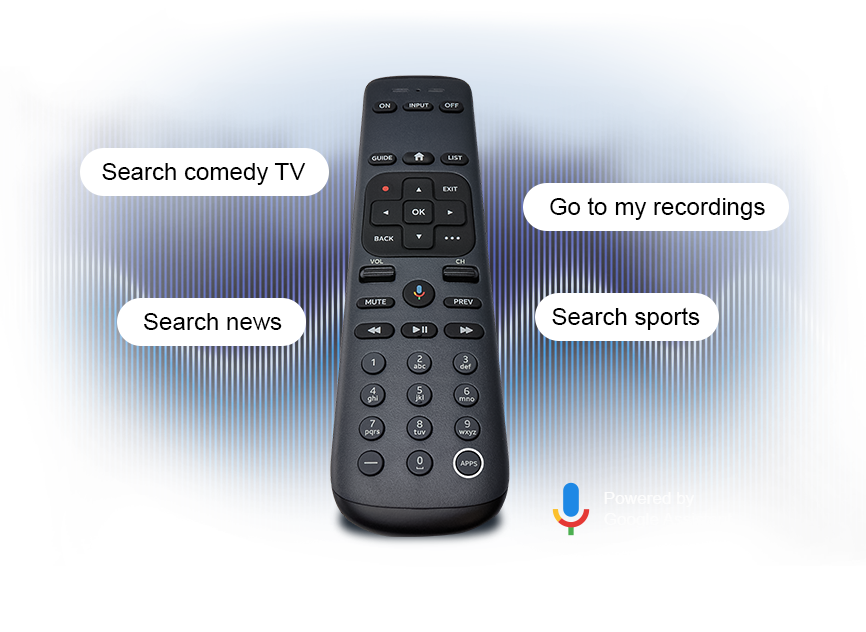 Gemini Voice Remote